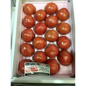 Rich in carbohydrates tomatoes vegetable fresh for wholesale