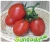 Import Rio grande determinate cherry vegetable hybrid f1 high yield  tomato seeds from China