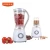 Import sale kitchen appliances two speed juicer mixer grinder blender from USA