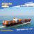 Import sea shipping amazon fba DDP from China to the U.S. freight forwarder from China