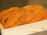 Sea Urchin