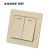 Import SHARE champagne gold panel push button 2 gang 1 way switch 250V 16A from China