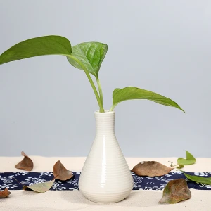 Simple ceramic vase creative household desktop decoration tripod hydroponic vase decorative vase ceramic aromatherapy bottle