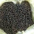 Import Single Spices Black Pepper with Vietnam Origin High Quality from Vietnam