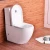 Import siphonic single toilet, elegant washdown toilet bowl, ceramic two piece water closet from China