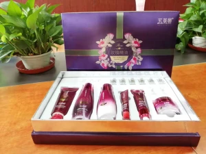 Skincare suit manufacturers professional skin care products private label cleanser set oem odm