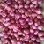 Import small sambar onion from India