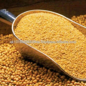 Soybean Meal in Containers 46% Protein