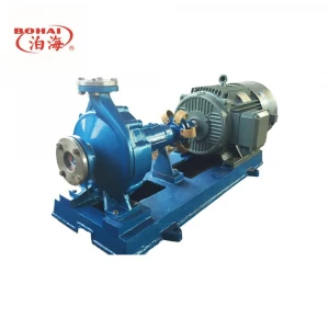 Stainless steel Hot oil Centrifugal pump for high temperature liquid crude oil, petroleum, lubricants,