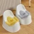 Import Super lightweight potty training seat for elderly baby potty chair from China