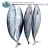 Import Superior quality bonito seafood frozen fish for canned food caned from China