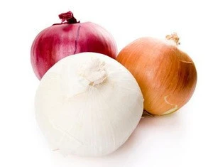 Suppliers of Fresh Onions/Red/white/yellow  Onions