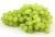 Import tastsy or juicey Grapes/Seedless Sweet Fresh Green Grapes from South Africa