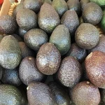 Thai Fresh Avocado