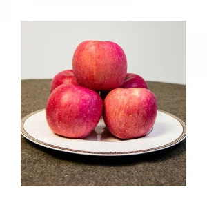 The factory supplies fresh red Fuji sweet apples rich in phytonutrients and polyphenols