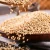Import toasted natural sesame seeds from China