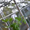 Tomato Roller Hook With Twine Agricultural Greenhouse For Grow Support