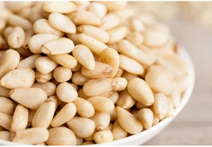 Top Grad Pine Nuts from Thailand