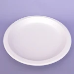 Top Selling Disposable Biodegradable Compostable Sugarcane Round Plate in 7 Inch P011
