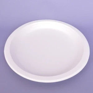 Top Selling Disposable Biodegradable Compostable Sugarcane Round Plate in 7 Inch P011
