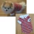 Import Trussu Accesorios Para Mascotas Summer Polo Striped Dog Clothes Pet Clothing from China