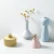 Import Unique Morandi Small Decorative Artificial Flower Vase from China