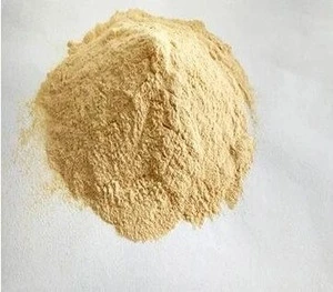 Vital Wheat Gluten/Wheat Gluten powder 25kg/bag in bulk
