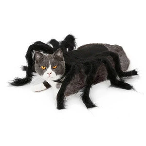 VK124-Cat and Dog Halloween Spider clothes