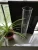 Import WARKIN quartz tube glass pipe clear for outdoor heater from China