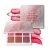 Import WENLE 9 Colors Blush 2018 High Quality Palette Makeup Blush from China