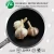 Import White Garlic Seeds P.E. Extract Garlic Price in China from China