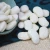 Import White Kidney Beans Long shape Big White Kidney Beans from China