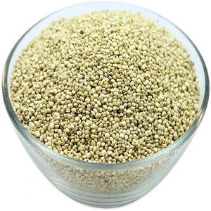 White Quinoa Export