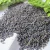 Import Wholesale best quality dry lavender flower pure dried lavender buds from China