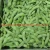 Import Wholesale Bulk IQF Soybean Frozen Green Edamame Young Green Beans from China