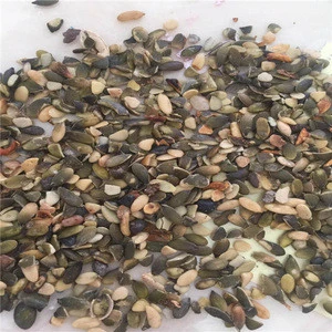 Wholesale Chinese Pumpkin Seeds For Oil Extract Price