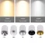 Import Wholesale Commerical Decoration Fixture Colorful Reflector Downlight LED Lamp Lighting Down Light from China