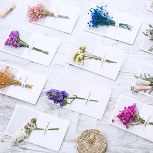 Wholesale fresh creative birthday Christmas card guarantee flowers dried flowers blessing greeting card
