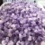 Import Wholesale healing natural purple crystal quartz stone gravel home decoration crystal flower from China