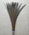 Import Wholesale natural 10-160cm Reeves Pheasant Tail Feather from China
