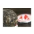 Import Yunnan ancient trees Sheng puerh compressed tea cake mini tuocha 5g  puer tea from China