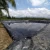 Import 1500 micron hdpe geomembrane  1.5mm 2mm pond liner geomembranes from China