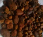 Calculi Bovis