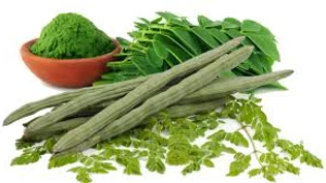 Moringa Powder