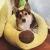 Import Dog Bed Pet Cat Bed Dog Breathable Sofa for Small Medium Dogs Super Soft Plush Pads from China