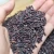 Import Black Rice Vietnam Brown Rice Top Product Using For Food from Vietnam