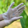 Household Daily Use Disposable PVC Vinyl Glove
