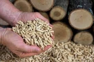 Cheapest European grade Italian and Romania, Ukraine quality wood pellets 6mm