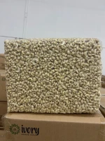 Cashew Nut Kernels