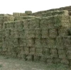 Premium Quality Alfalfa Hay for Sale Fresh Natural Nutrition Rich Feed for Livestock and Horses in Bulk